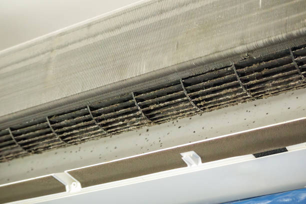 Best Ventilation Cleaning Services  in Norton, VA